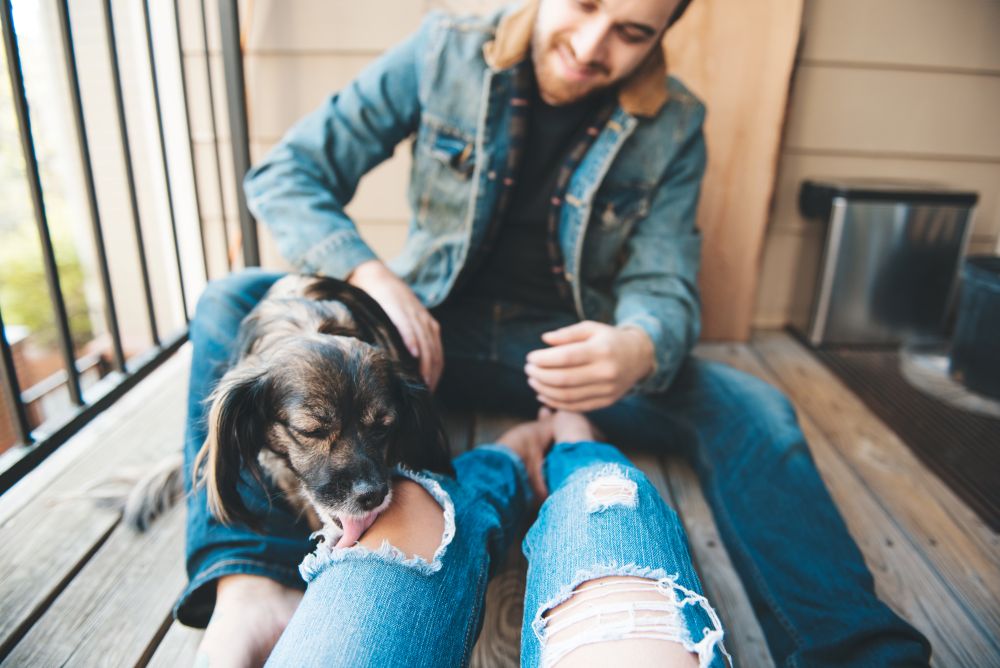 Why Does My Dog Lick My Feet — And Should You Actually Be Worried?